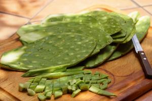 Nopal